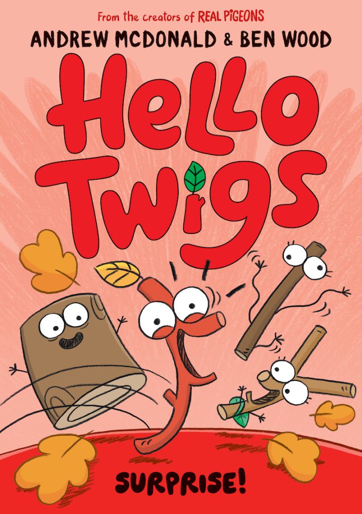 Cover of the book Hello Twigs, Surprise by Andrew McDonald and Ben Wood